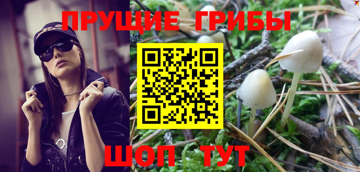 Новоуральск  Галлюциногенные грибы GOLDEN TEACHER  Вход с VPN 